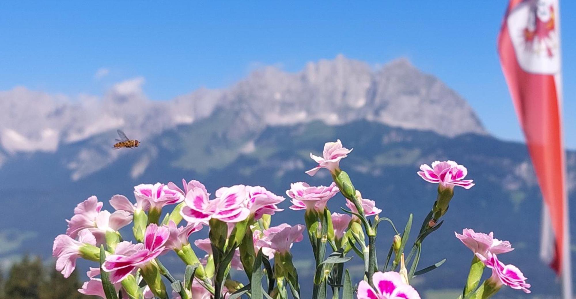 Chalet Terry Sankt Johann in Tirol Luaran gambar
